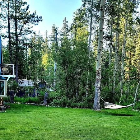 A Bear'S Rest Villa